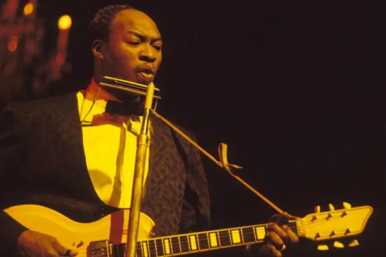 El Nacimiento del Bluesman: La Historia de Jimmy Reed