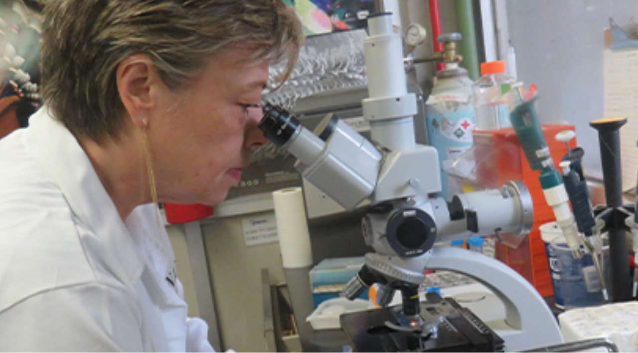 La fisiología del espermatozoide, una investigación de la Dra. Claudia Treviño