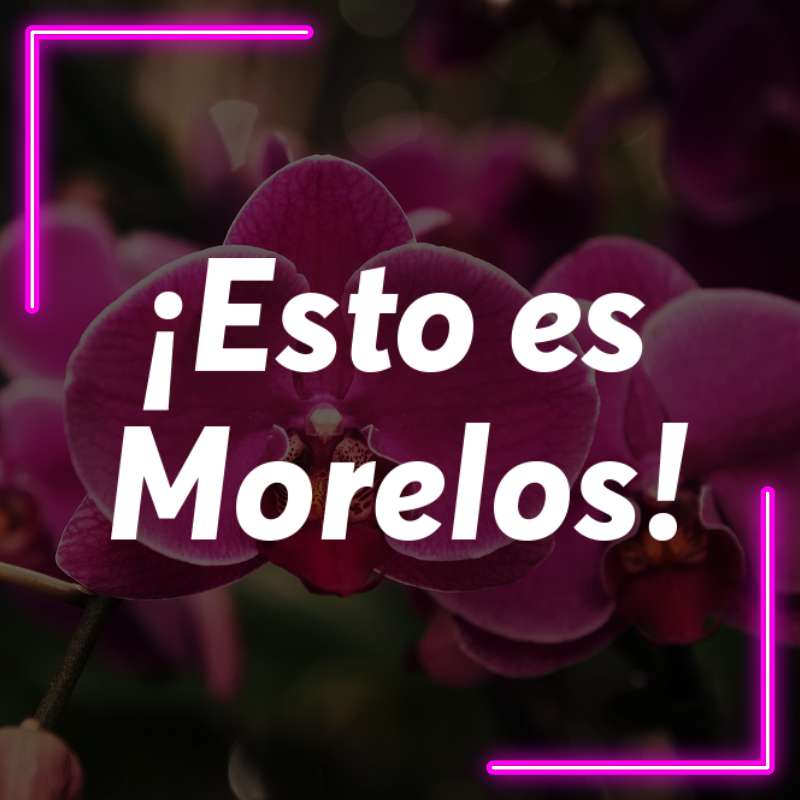 Museo de Orquídeas en Morelos – 21 de abril 2024